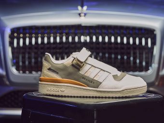 Bentley Sneakers - The Sturgeon -