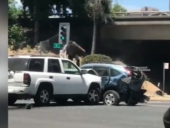 Road Rage America - Dailycarblog